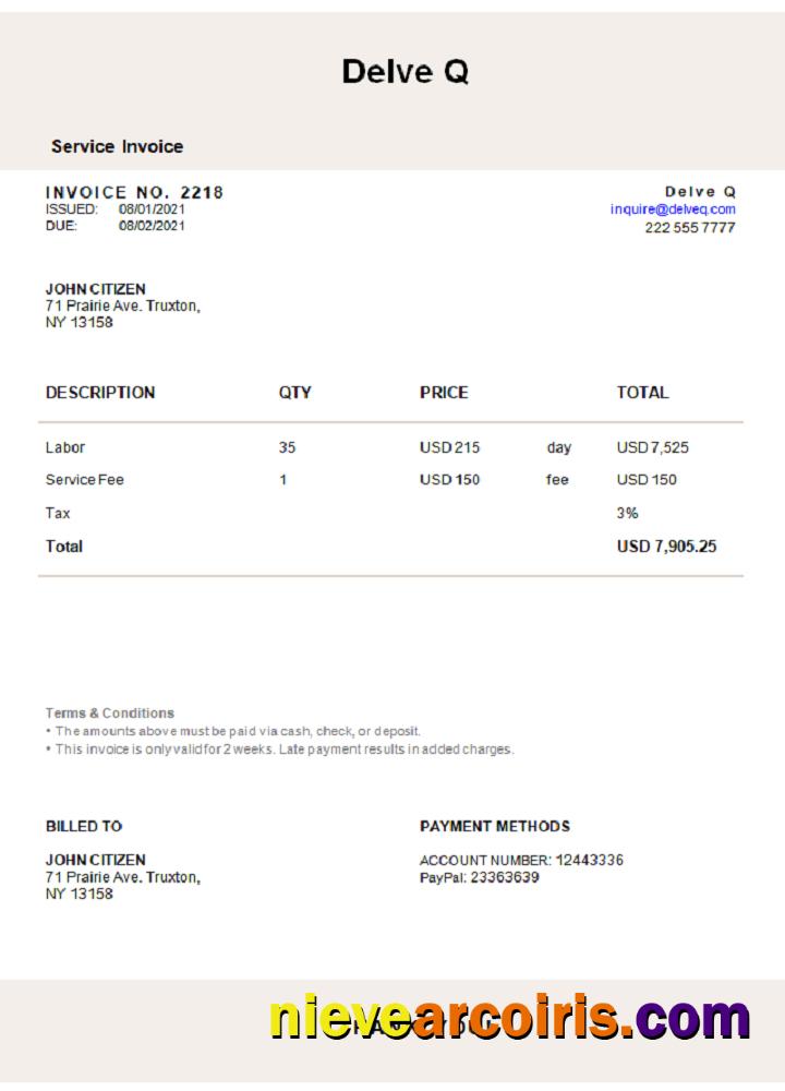 USA Delve Q invoice
